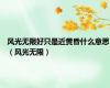 风光无限好只是近黄昏什么意思（风光无限）