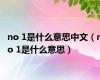 no 1是什么意思中文（no 1是什么意思）