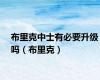 布里克中士有必要升级吗（布里克）