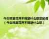 今生相爱花开不败是什么歌里的词（今生相爱花开不败是什么歌）