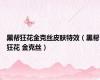 黑帮狂花金克丝皮肤特效（黑帮狂花 金克丝）