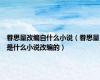 眷思量改编自什么小说（眷思量是什么小说改编的）