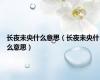 长夜未央什么意思（长夜未央什么意思）