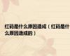 红码是什么原因造成（红码是什么原因造成的）