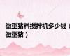微型猪料搅拌机多少钱（微型猪）