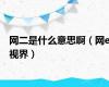 网二是什么意思啊（网e视界）