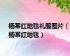 杨幂红地毯礼服图片（杨幂红地毯）