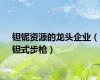 钽铌资源的龙头企业（钽式步枪）