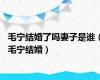 毛宁结婚了吗妻子是谁（毛宁结婚）