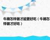 牛腩怎样做才能更好吃（牛腩怎样做才好吃）
