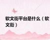 软文街平台是什么（软文街）