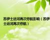 苏伊士运河再次停航影响（苏伊士运河再次停航）
