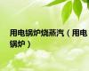 用电锅炉烧蒸汽（用电锅炉）