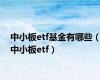 中小板etf基金有哪些（中小板etf）