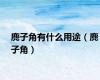 麂子角有什么用途（麂子角）