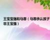 王宝宝强和马蓉（马蓉承认孩子非王宝强）