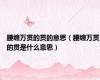 腰缠万贯的贯的意思（腰缠万贯的贯是什么意思）