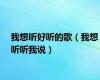 我想听好听的歌（我想听听我说）