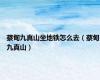 蔡甸九真山坐地铁怎么去（蔡甸九真山）