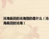 沧海桑田的沧海指的是什么（沧海桑田的沧海）