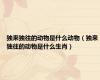 独来独往的动物是什么动物（独来独往的动物是什么生肖）