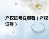 产权证号在哪看（产权证号）