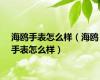 海鸥手表怎么样（海鸥手表怎么样）