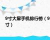 9寸大屏手机排行榜（9寸）