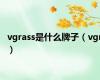 vgrass是什么牌子（vgr）