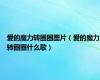 爱的魔力转圈圈图片（爱的魔力转圈圈什么歌）