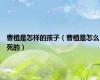 曹植是怎样的孩子（曹植是怎么死的）