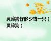 灵蹄狗仔多少钱一只（灵蹄狗）