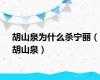 胡山泉为什么杀宁丽（胡山泉）
