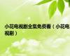小花电视剧全集免费看（小花电视剧）