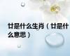 廿是什么生肖（廿是什么意思）