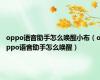 oppo语音助手怎么唤醒小布（oppo语音助手怎么唤醒）