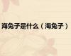 海兔子是什么（海兔子）