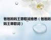 爸爸妈妈王蓉歌词意思（爸爸妈妈王蓉歌词）