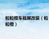 粒粒橙车载屏改装（粒粒橙）