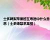 士多啤梨苹果橙在粤语中什么意思（士多啤梨苹果橙）