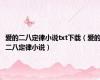 爱的二八定律小说txt下载（爱的二八定律小说）
