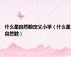什么是自然数定义小学（什么是自然数）