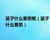 篮子什么意思呢（篮子什么意思）