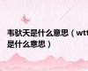 韦驮天是什么意思（wtt是什么意思）