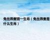 兔丝燕麦猜一生肖（兔丝燕麦是什么生肖）