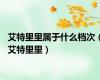 艾特里里属于什么档次（艾特里里）