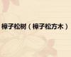 樟子松树（樟子松方木）
