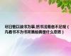 尽日惟以读书为事,然书浅易者不足观（凡看书不为书所愚始善是什么意思）