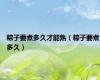 粽子要煮多久才能熟（粽子要煮多久）
