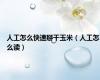 人工怎么快速掰干玉米（人工怎么读）